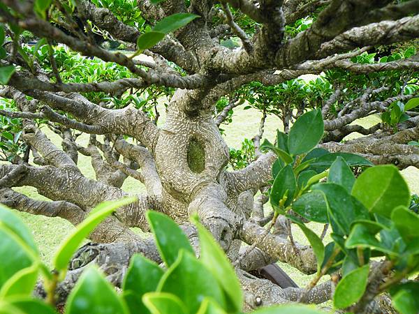 DSCF9641.JPG DSCF9641.JPG