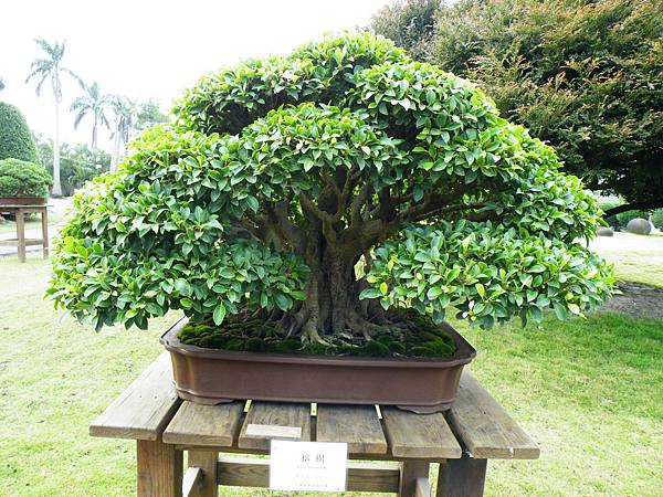 DSCF9642.JPG DSCF9642.JPG