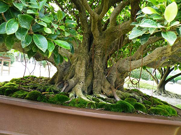 DSCF9643.JPG DSCF9643.JPG