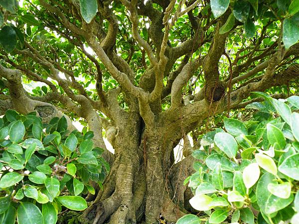 DSCF9644.JPG DSCF9644.JPG