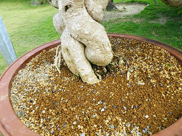 DSCF9646.JPG DSCF9646.JPG