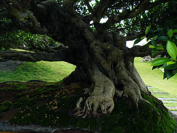 DSCF9651.JPG DSCF9651.JPG