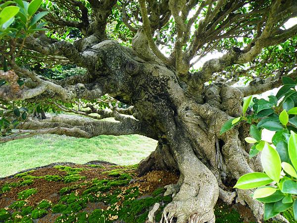 DSCF9652.JPG DSCF9652.JPG