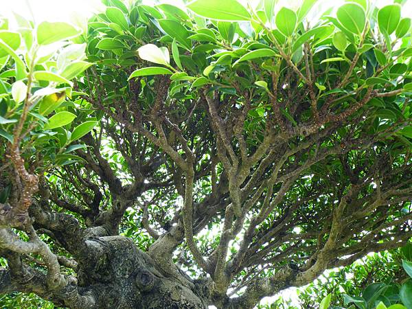 DSCF9653.JPG DSCF9653.JPG