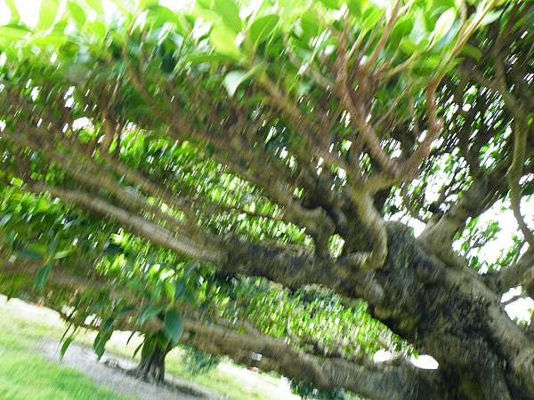 DSCF9654.JPG DSCF9654.JPG