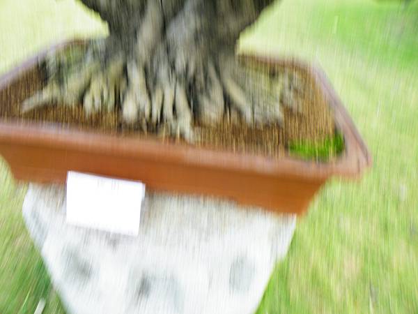 DSCF9657.JPG DSCF9657.JPG