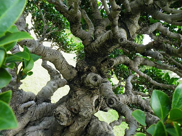 DSCF9658.JPG DSCF9658.JPG