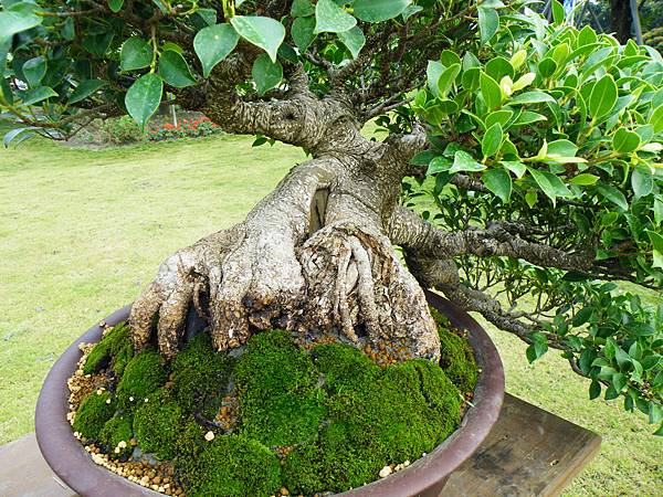 DSCF9662.JPG DSCF9662.JPG