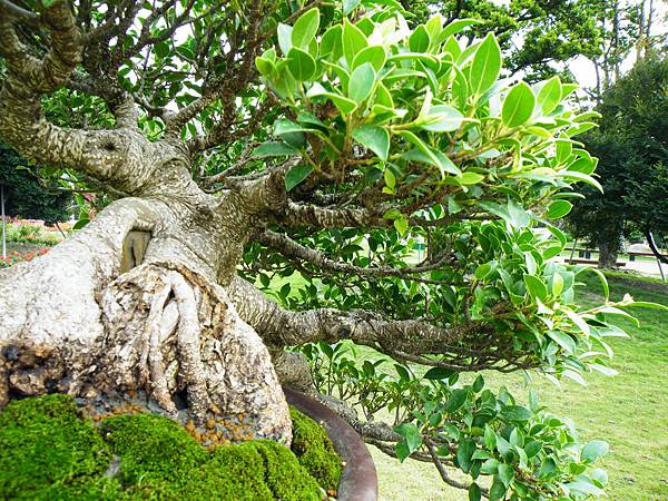 DSCF9663.JPG DSCF9663.JPG