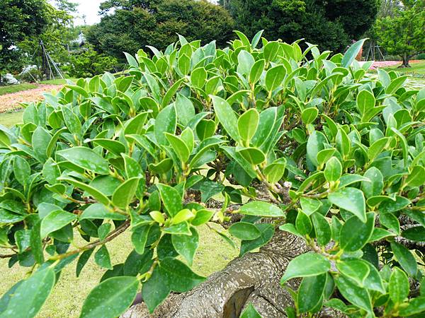 DSCF9664.JPG DSCF9664.JPG