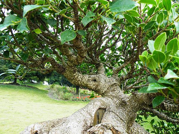 DSCF9665.JPG DSCF9665.JPG