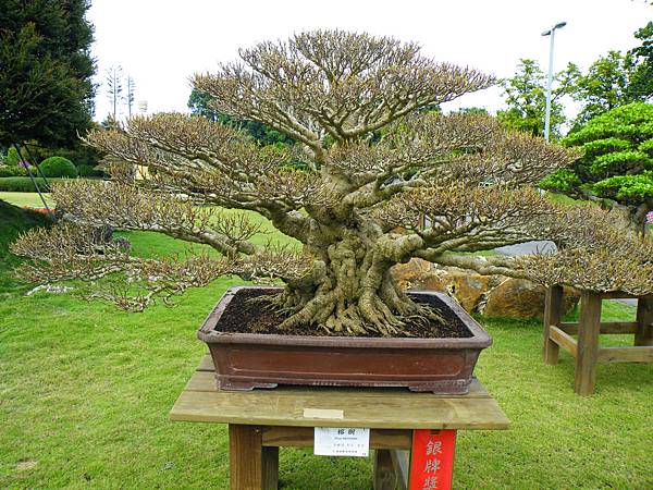 DSCF9666.JPG DSCF9666.JPG