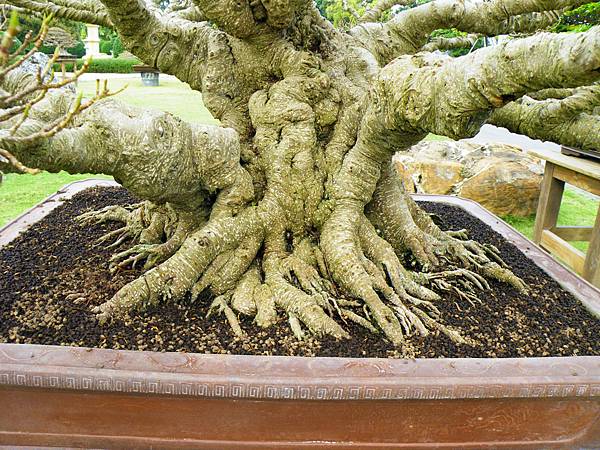 DSCF9667.JPG DSCF9667.JPG