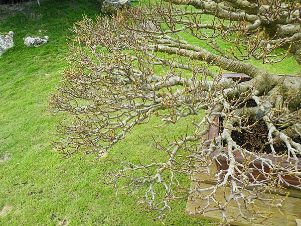 DSCF9669.JPG DSCF9669.JPG