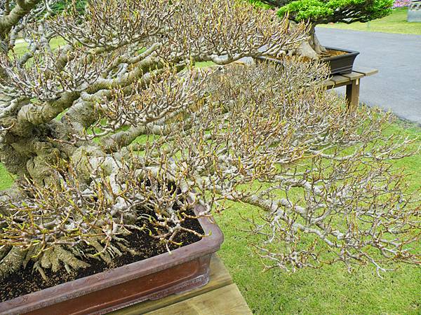 DSCF9670.JPG DSCF9670.JPG