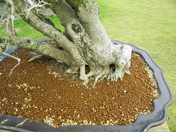 DSCF9672.JPG DSCF9672.JPG