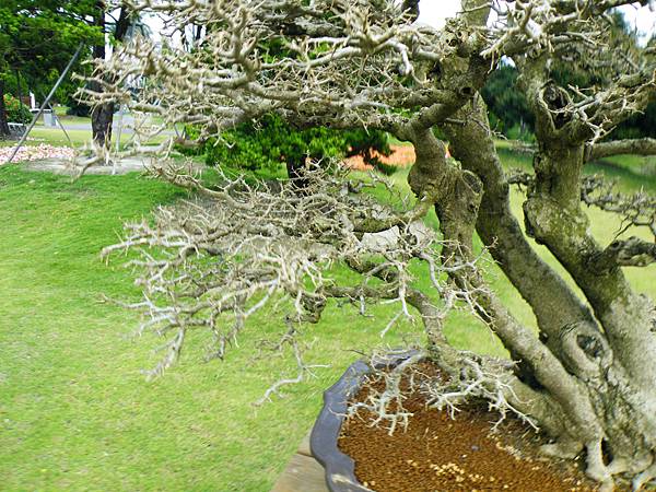 DSCF9673.JPG DSCF9673.JPG