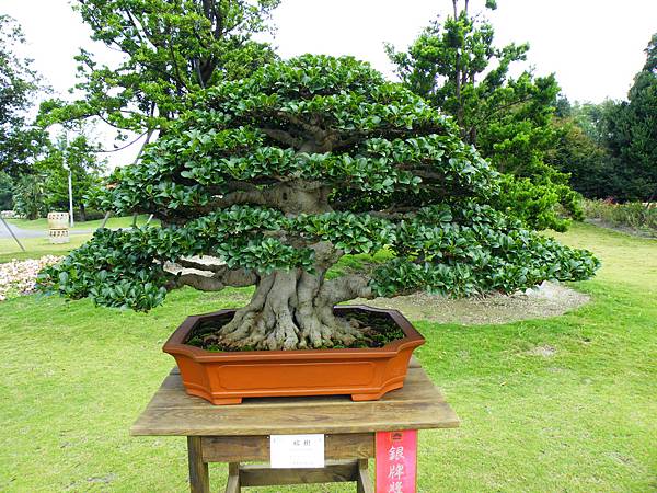 DSCF9678.JPG DSCF9678.JPG