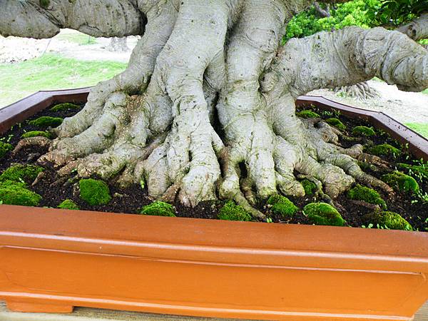 DSCF9679.JPG DSCF9679.JPG