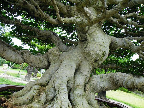 DSCF9680.JPG DSCF9680.JPG