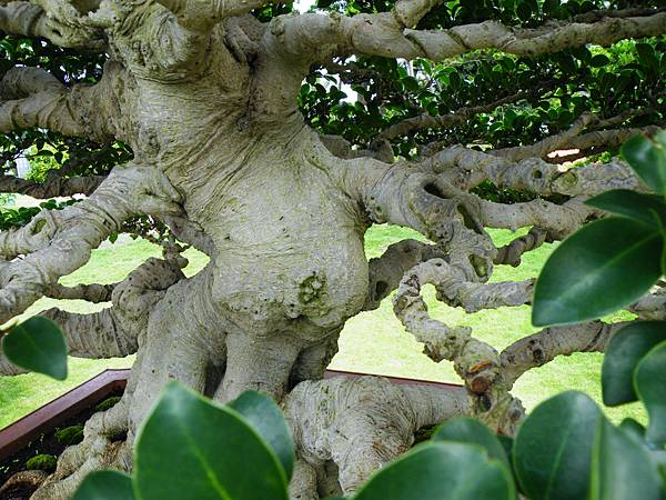 DSCF9683.JPG DSCF9683.JPG