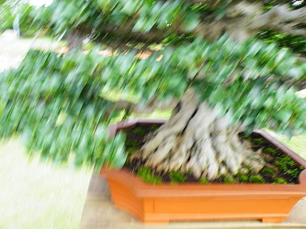 DSCF9684.JPG DSCF9684.JPG