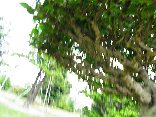 DSCF9685.JPG DSCF9685.JPG