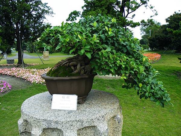 DSCF9687.JPG DSCF9687.JPG