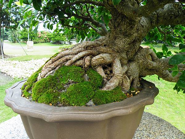 DSCF9688.JPG DSCF9688.JPG