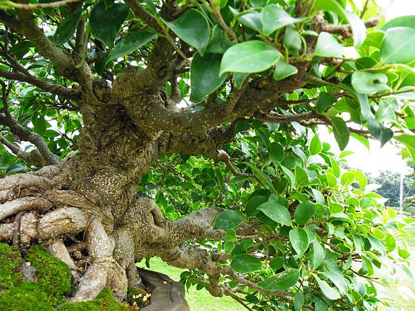 DSCF9689.JPG DSCF9689.JPG