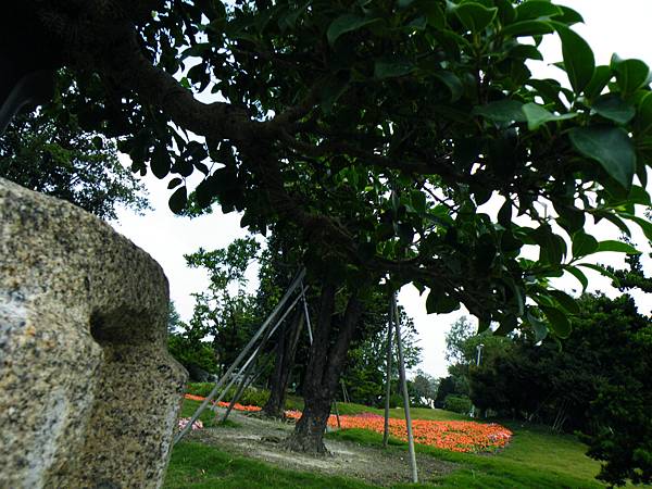 DSCF9690.JPG DSCF9690.JPG