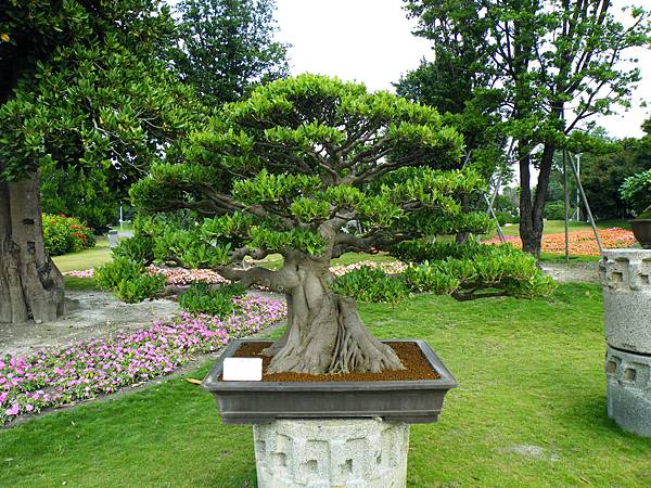 DSCF9691.JPG DSCF9691.JPG