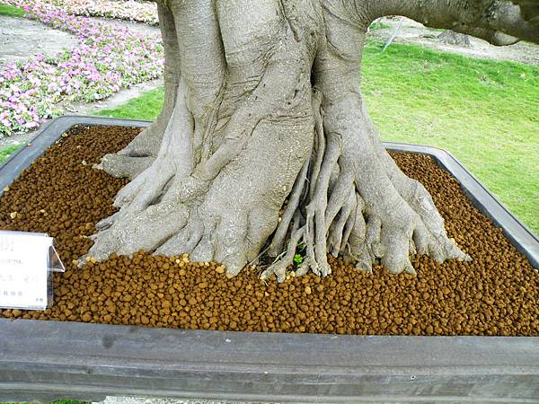 DSCF9692.JPG DSCF9692.JPG