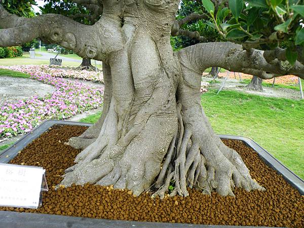 DSCF9693.JPG DSCF9693.JPG