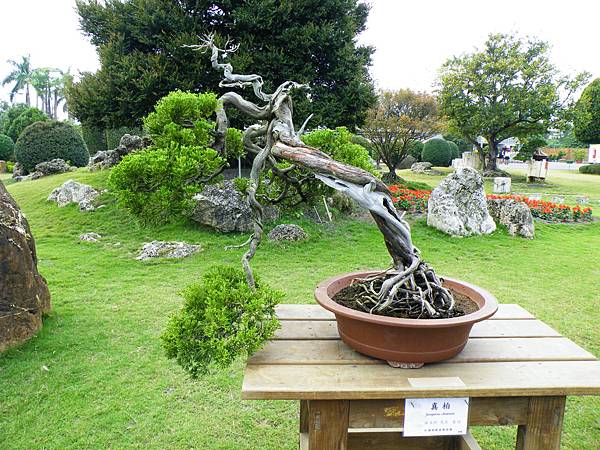 DSCF9698.JPG DSCF9698.JPG