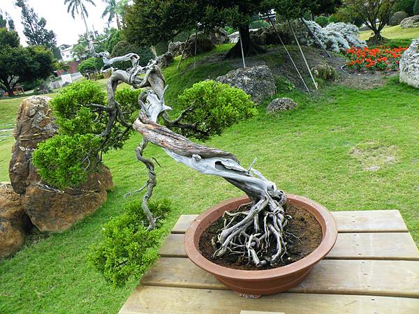 DSCF9699.JPG DSCF9699.JPG