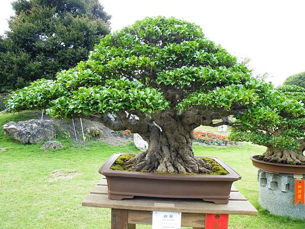 DSCF9700.JPG DSCF9700.JPG