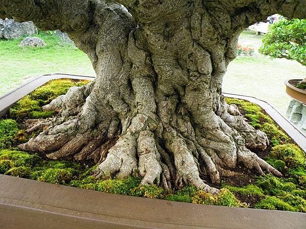 DSCF9701.JPG DSCF9701.JPG