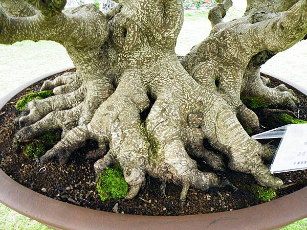 DSCF9707.JPG DSCF9707.JPG