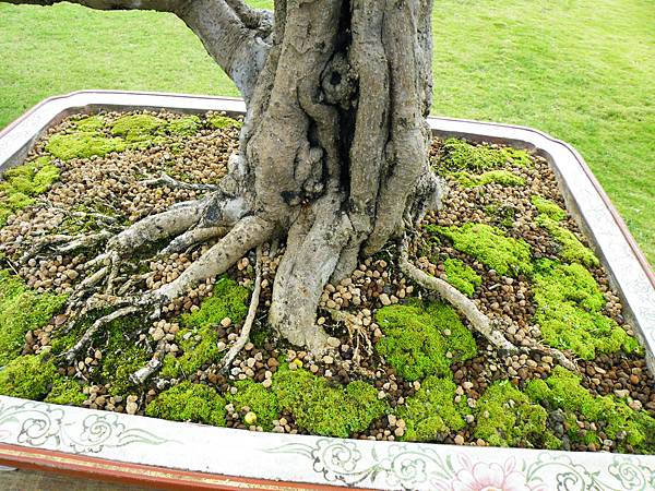 DSCF9711.JPG DSCF9711.JPG