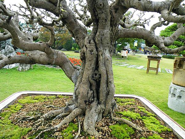 DSCF9712.JPG DSCF9712.JPG