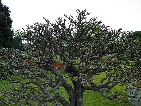 DSCF9713.JPG DSCF9713.JPG