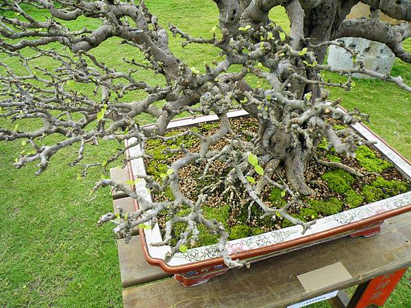 DSCF9715.JPG DSCF9715.JPG