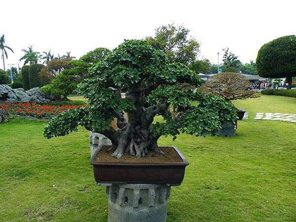 DSCF9716.JPG DSCF9716.JPG