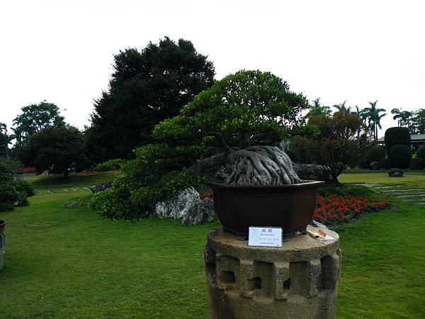 DSCF9718.JPG DSCF9718.JPG