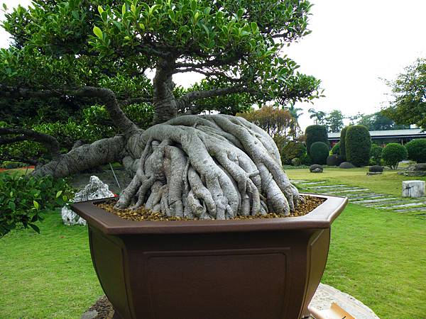 DSCF9719.JPG DSCF9719.JPG