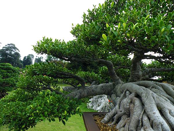 DSCF9720.JPG DSCF9720.JPG