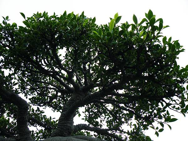 DSCF9721.JPG DSCF9721.JPG