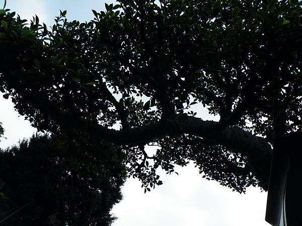 DSCF9722.JPG DSCF9722.JPG