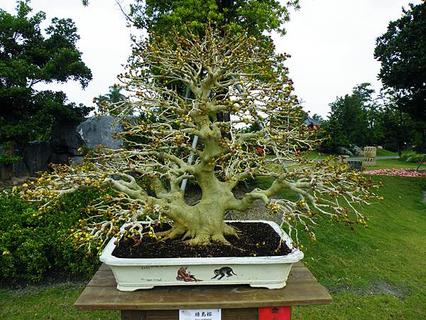 DSCF9723.JPG DSCF9723.JPG